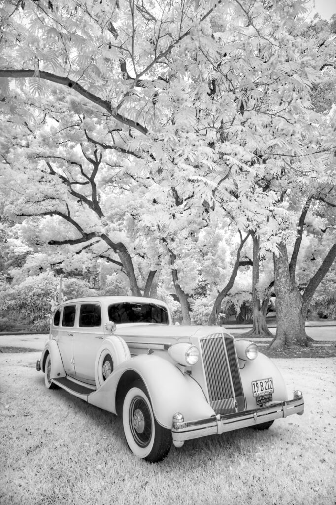Packard Paradise